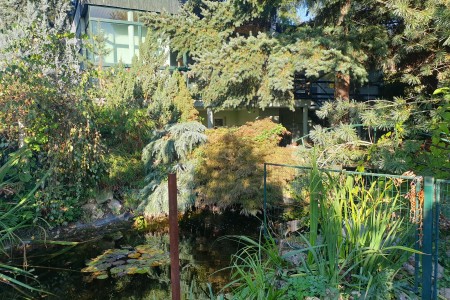 Na prenájom RD v lukratívnej lokalite centra mesta Levice - 20191006_162913_82f1ff3f5080b69c81b3d9cc904c67ae