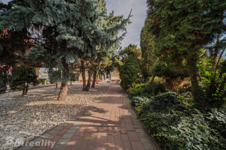 Dva domy, jedna adresa. Bývanie s bazénom na 2 314 m² v Komárne - 23_Zelen_a_chodnik_2ee8f30b7a668d9a5404b473b27d1f49