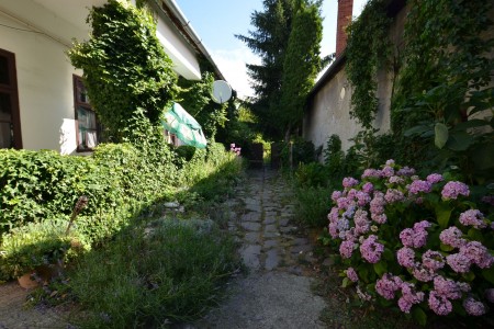 Na predaj rodinný dom vhodný aj na podnikateľské účely v centre mesta Levice - DSC_0478_d7c78ed90da11a1888418c695cf1a956
