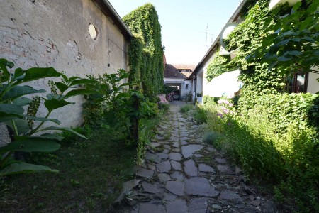 Na predaj rodinný dom vhodný aj na podnikateľské účely v centre mesta Levice - DSC_0482_214b4d5dd19184fed5f7b08d910ace63