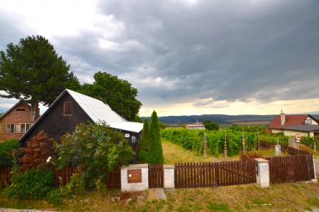 Viničný dom s krásnym pozemkom vo vyhľadávanej viničnej oblasti v Pukanci - DSC_8694_7de27f0389185ce96e28c617a2420d46