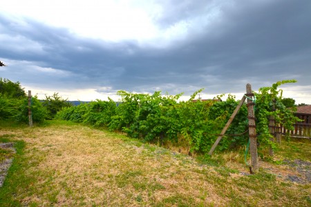 Viničný dom s krásnym pozemkom vo vyhľadávanej viničnej oblasti v Pukanci - DSC_8708_e53521cd2fb0739cf7e865403ac5e1bd
