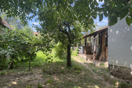 Na predaj rodinný dom v obci Čajkov, okr. Levice - IMG_0372_1a371757f4e8d803ccd00cf3acd07bdf