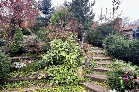 Viničný dom s krásne upraveným pozemkom v tichej časti mesta Levice - IMG_2277_5a2d23e765f43e11e9f6cd9aee1a8193