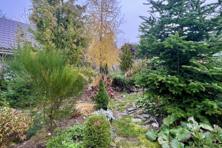 Viničný dom s krásne upraveným pozemkom v tichej časti mesta Levice - IMG_2278_2814ca18cf26606698dc9eaac6ace078