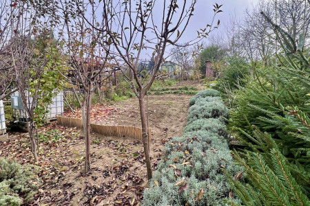 Viničný dom s krásne upraveným pozemkom v tichej časti mesta Levice - IMG_2287_dae7c3e649a71d61473951546a9b10cc