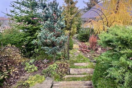 Viničný dom s krásne upraveným pozemkom v tichej časti mesta Levice - IMG_2288_a05e2c0f972d14bc713472c5262c8fbd