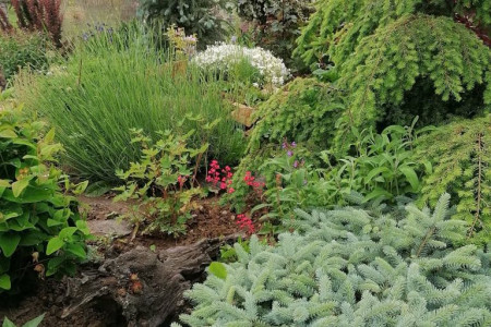 Viničný dom s krásne upraveným pozemkom v tichej časti mesta Levice - IMG_2293_0fb6f41981b165a1e8181d9ec7ed0d0b