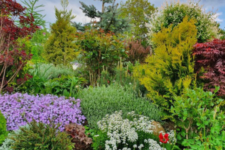 Viničný dom s krásne upraveným pozemkom v tichej časti mesta Levice - IMG_2295_9c25d93b424f928a9ab31b9a2b2579f3