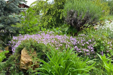 Viničný dom s krásne upraveným pozemkom v tichej časti mesta Levice - IMG_2298_6e386cf27c0917229370b79f0a39d92b