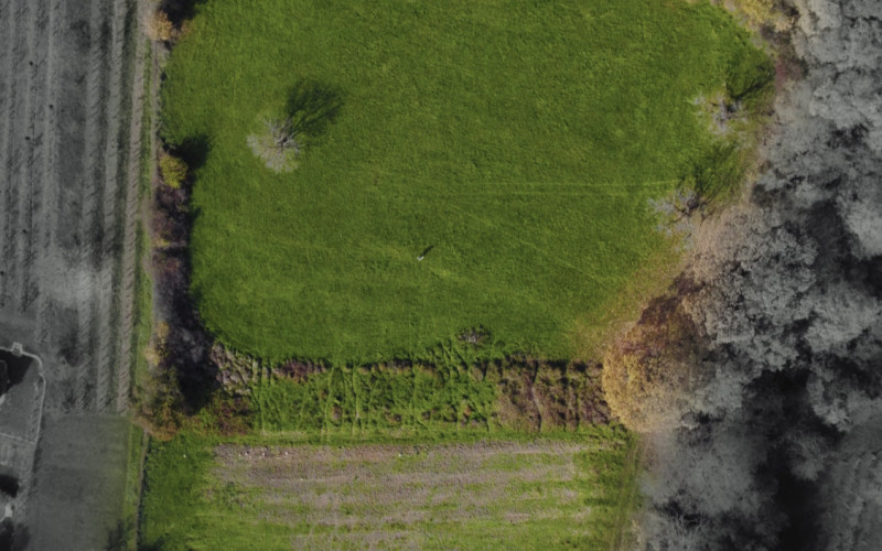 Predaj krásneho pozemku pod lesom s viničným domom v Ďevičanoch