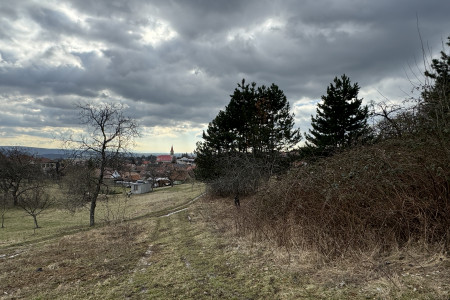 Na predaj záhradný pozemok s pekným výhľadom v Pukanci - IMG_3532_444b25f2a339c898e946793f2d0f77f3