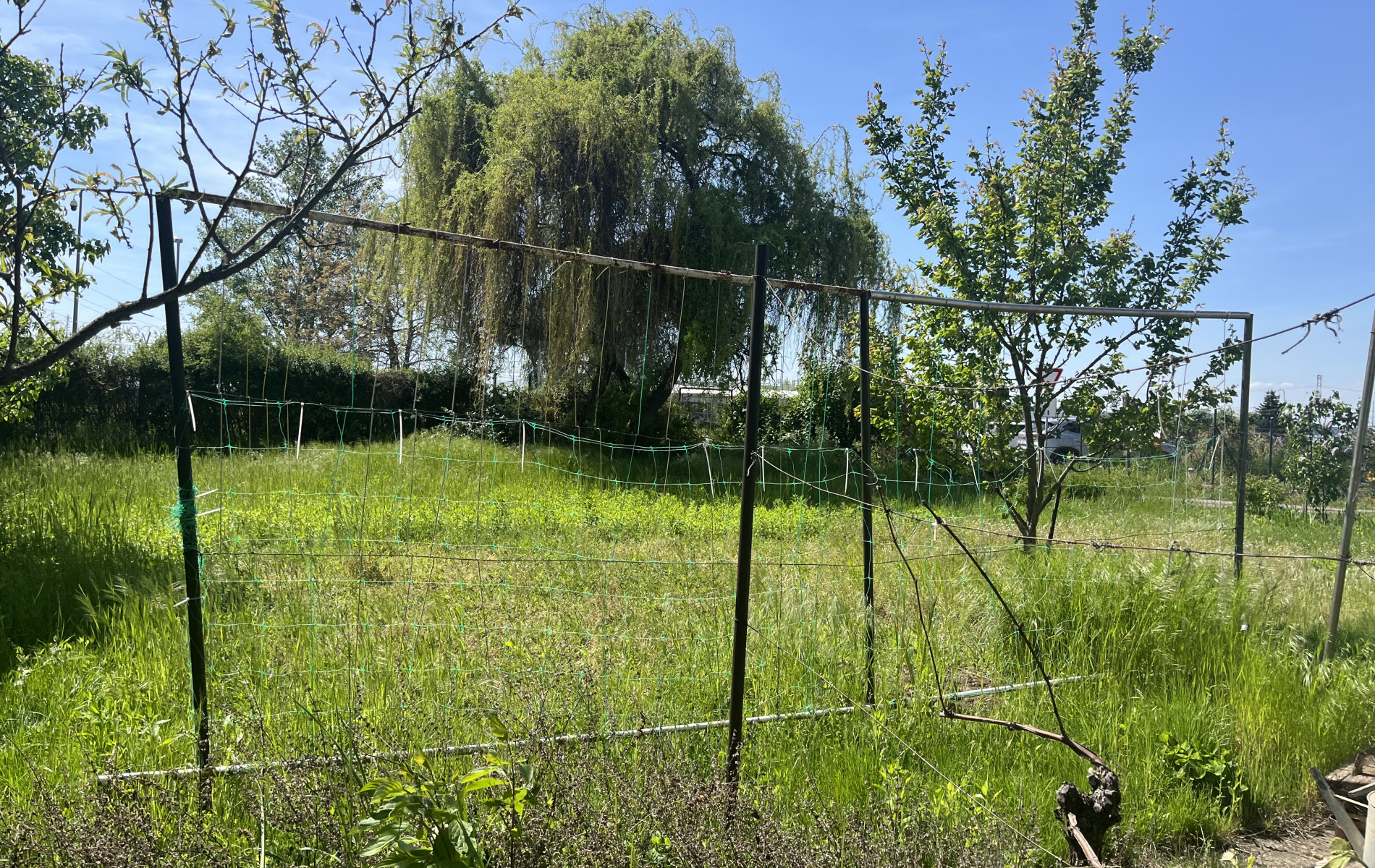 Na predaj-  Záhrada so záhradnou chatkou v Leviciach