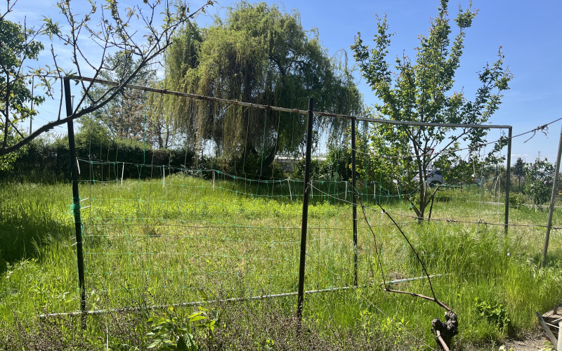 Na predaj-  Záhrada so záhradnou chatkou v Leviciach