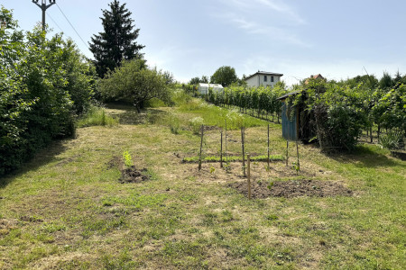 Viničný dom v Leviciach: Ideálne miesto pre rekreáciu aj celoročné bývanie - IMG_5659_db9783f9a84cbdb8243efb857fa09c7b