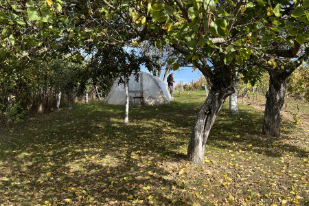 Celoročne obývateľný viničný dom vo vyhľadávanej lokalite  - IMG_7386_f4edc87bb725aca0bff20e0e5b1643be