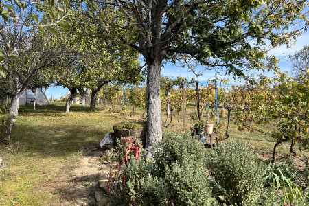 Celoročne obývateľný viničný dom vo vyhľadávanej lokalite  - IMG_7389_bc2456cbdc98dc2a8d29cb34858ecc92