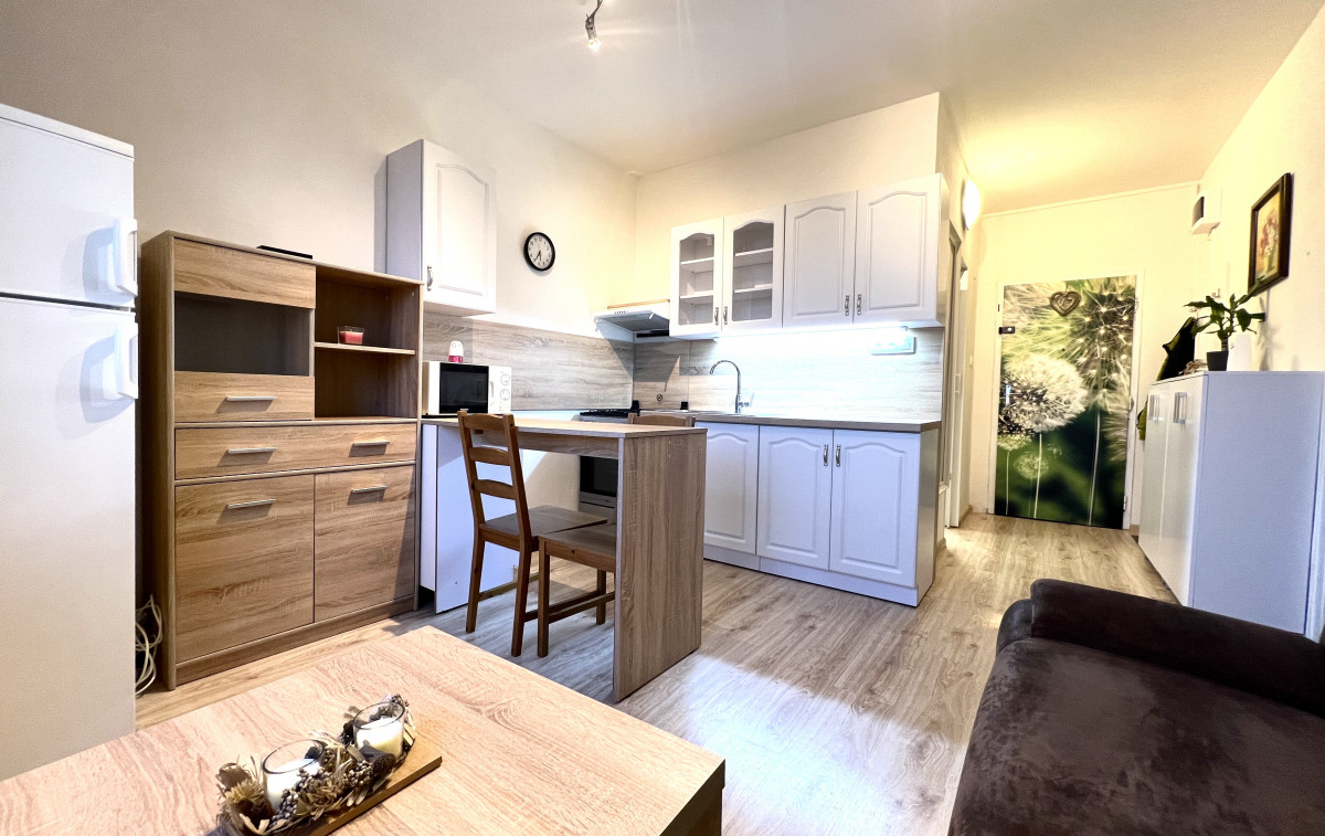 1 izbový klimatizovaný byt s balkónom na Mochovskej ulici