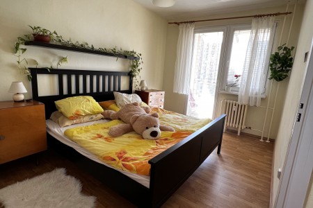 Na predaj 3 izbový slnečný byt s peknou lodžiou - IMG_7778_c882fa50740d30c795cedb2d265f7140