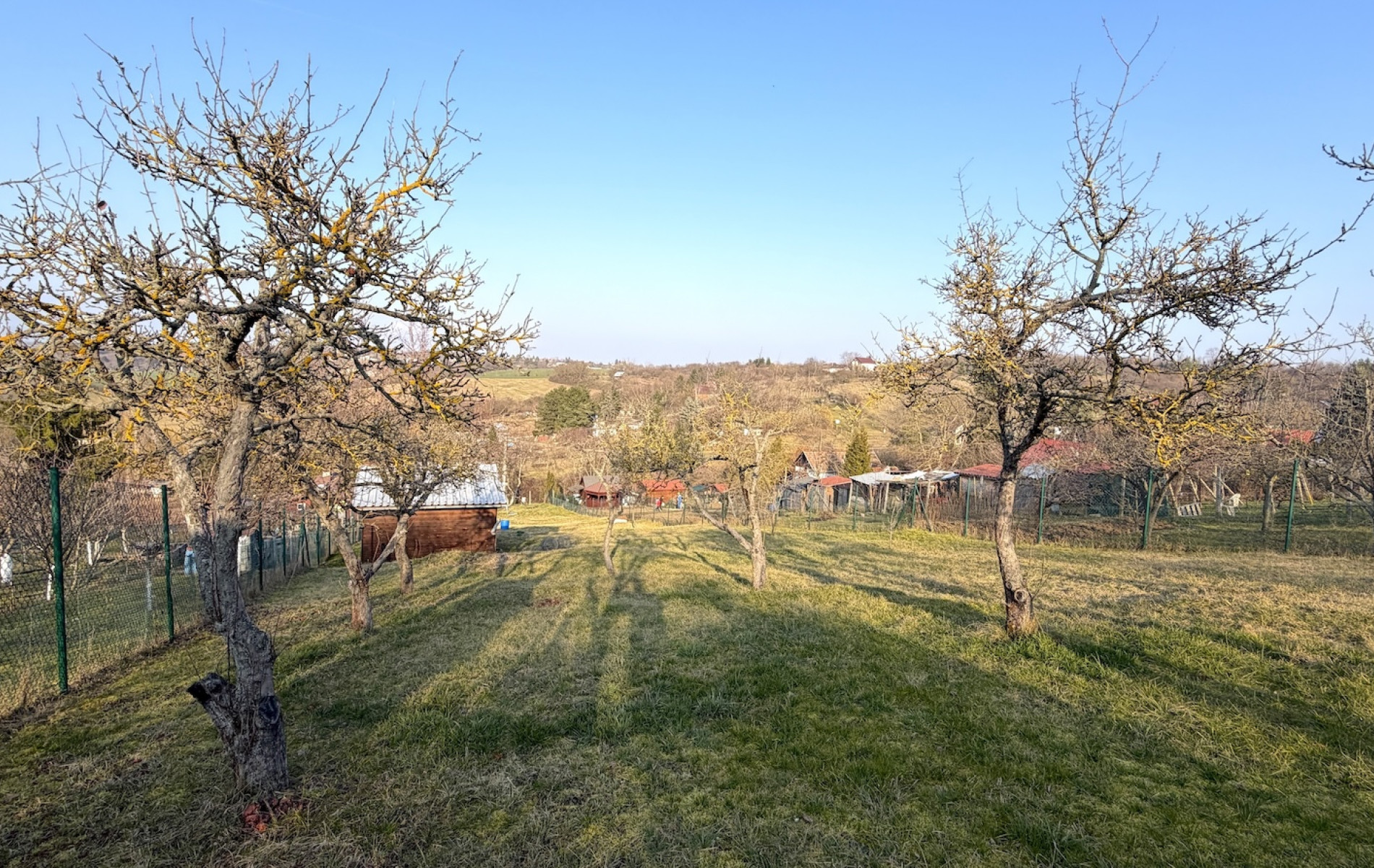 Viničný pozemok s krásnym výhľadom a záhradným domom v Leviciach 