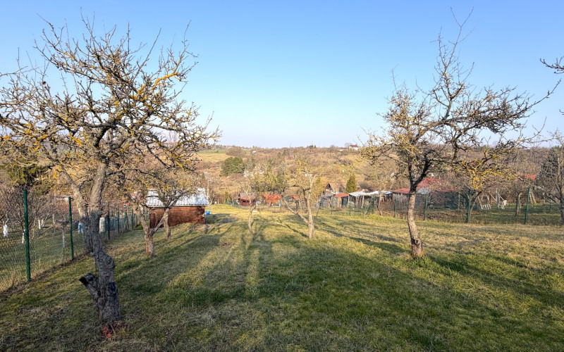 Viničný pozemok s krásnym výhľadom a záhradným domom v Leviciach 