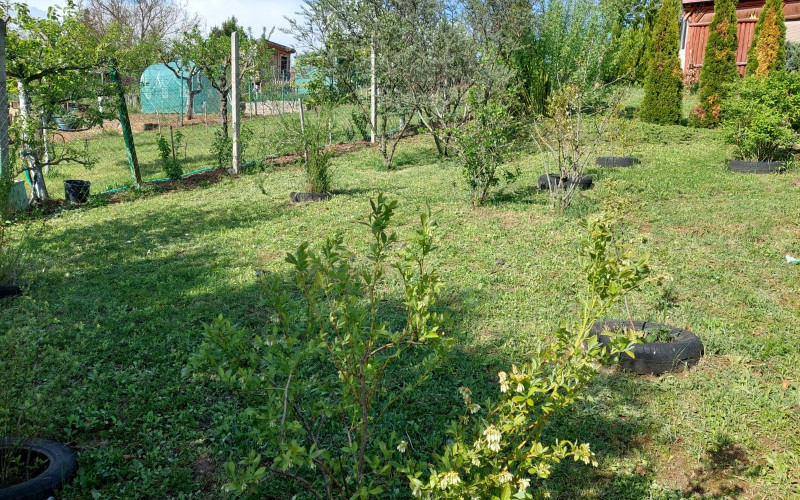Nová cena!!! Malebná záhrada v Čankove, okr. Levice