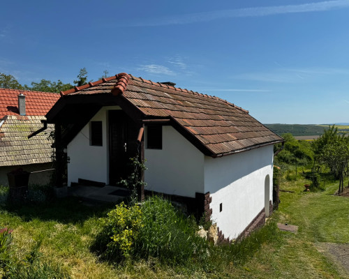 Nová cena! Viničný dom – Mýtne Ludany