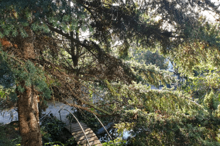 Na prenájom RD v lukratívnej lokalite centra mesta Levice - hhh_5d3c342626546bcd8930164cd05486c8